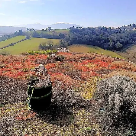 La Tana Dei Leoni 4*