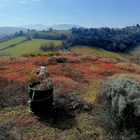 La Tana Dei Leoni Monsampolo Del Tronto